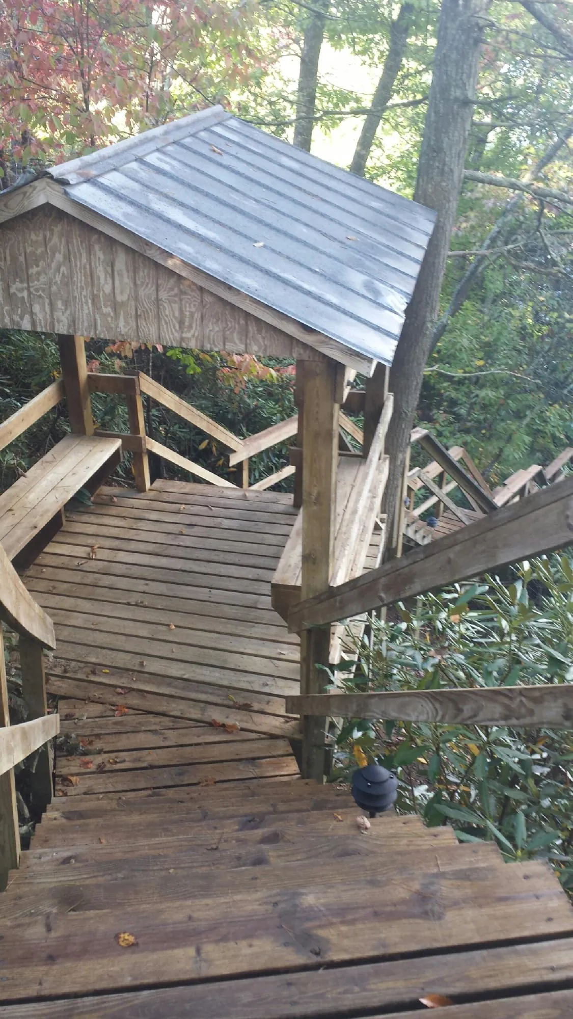 Metal roofed shelter over wooden steps on a wooded walkway — Skylight Repair & Installation work by our crew in Nooksack